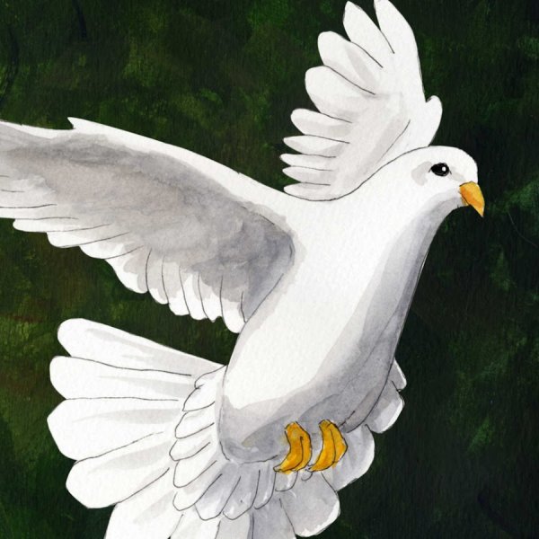 Голубь карандашом