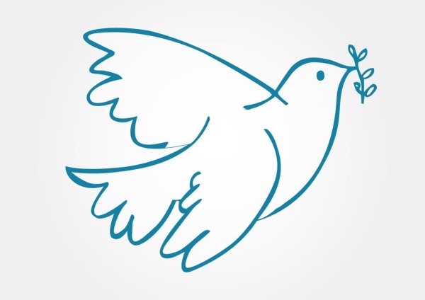 Голубь поэтапное рисование для детей