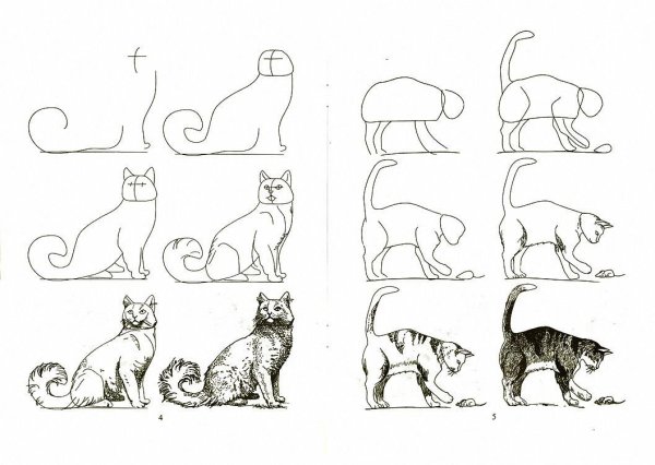 Схема рисования кошки
