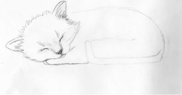 Лёгкие рисунки котят