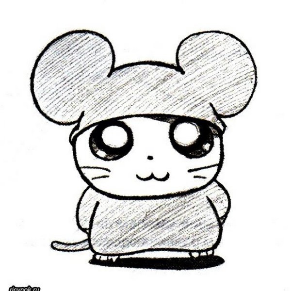 Легкие рисунки для срисовки