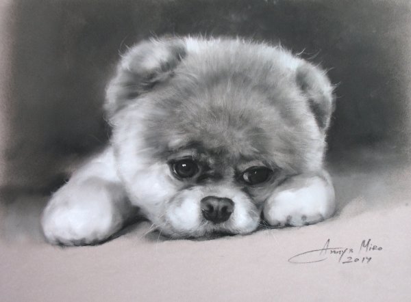 Набросок МОПСА