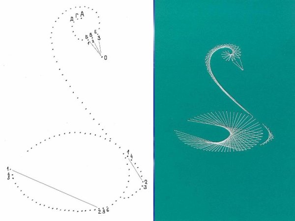 Поэтапное рисование Совы