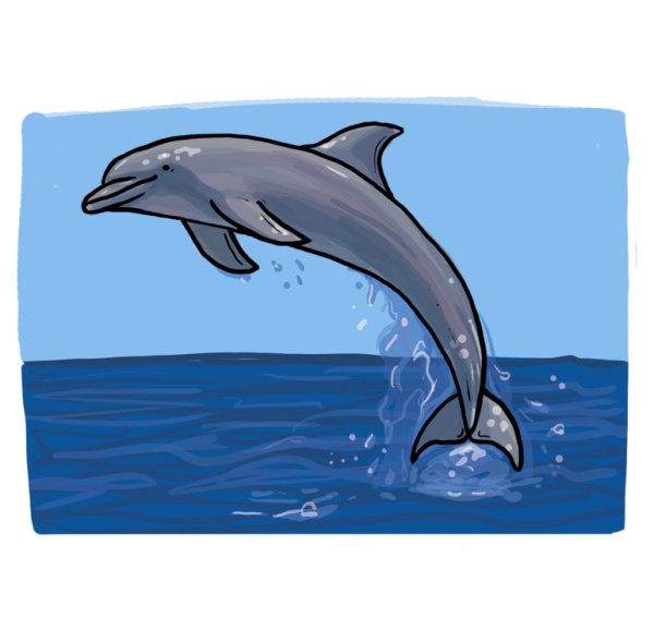 Рисунки дельфинов в море карандашом