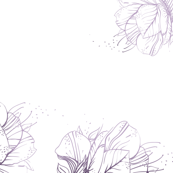 Цветы Графика без фона