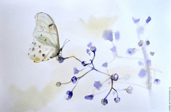 Акварель "бабочка"
