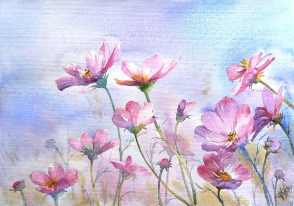 Космея живопись акварелью