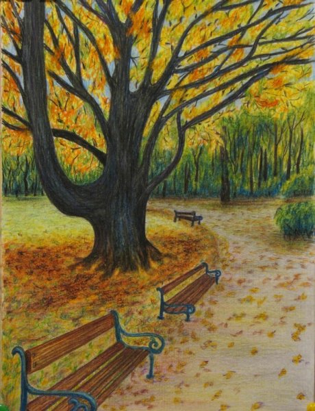 Рисование грибы