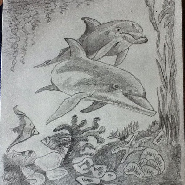 Дельфин набросок карандашом