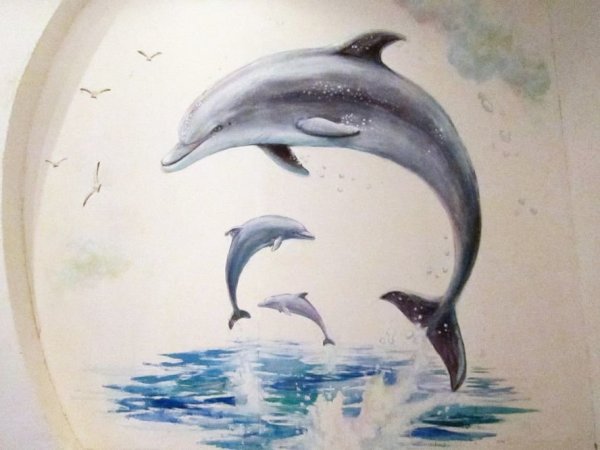 Рисунок дельфина