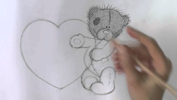 Мишка Тедди рисунок карандашом