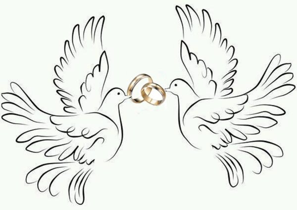 Свадебные голуби трафарет