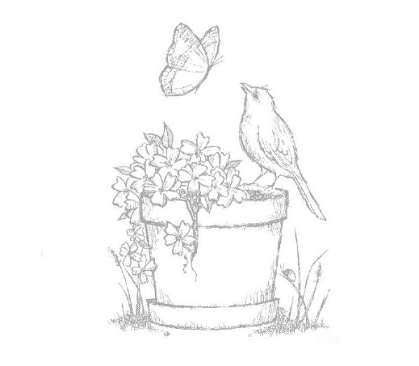 Весна карандашом