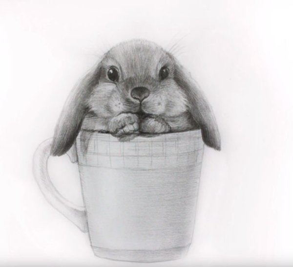 Рисунки про любовь