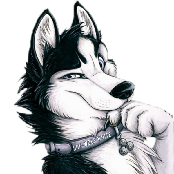 Фурри волк для срисовки