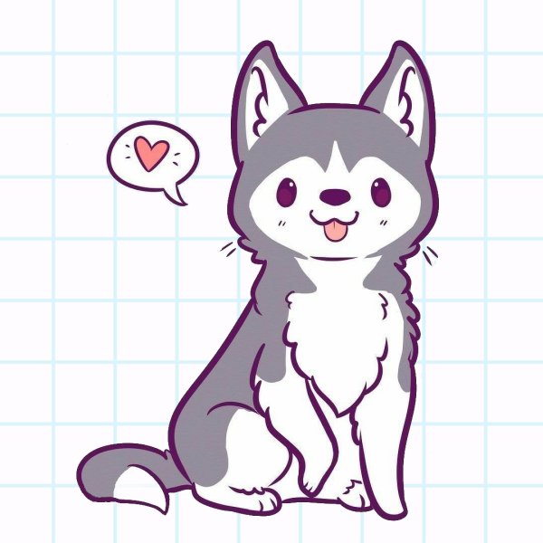 Наоми Лорд собаки