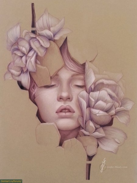 Дженнифер Хили (Jennifer Healy)