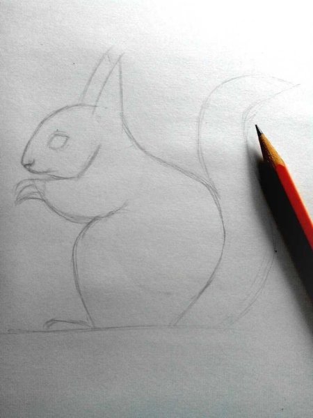 Белка рисунок