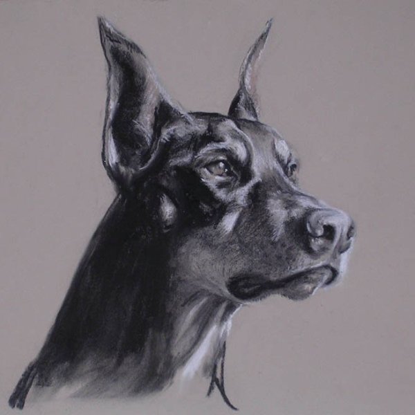 Потомок Джима Абрамов