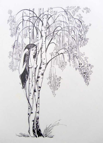 Рисование березы