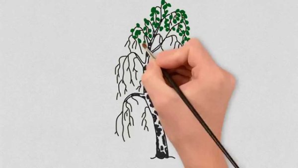 Красивая берёза карандашом