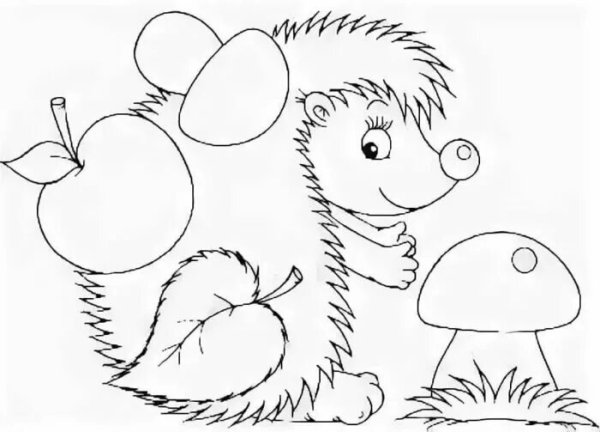 Ежик с грибами раскраска