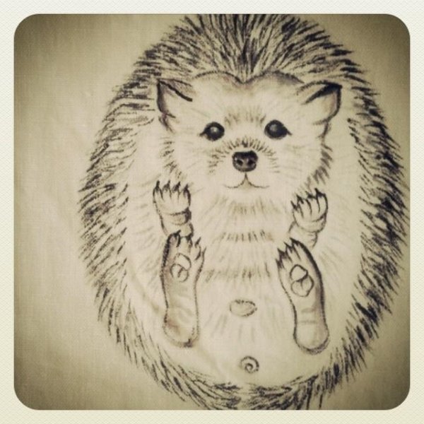 Рисунки ежа карандашом легко и красиво