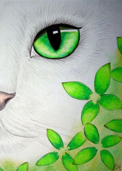 Нарисовать кошачий глаз
