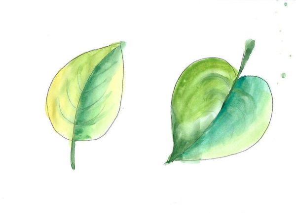 Листья рисунок