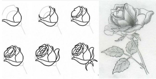 Поэтапное рисование кота для детей