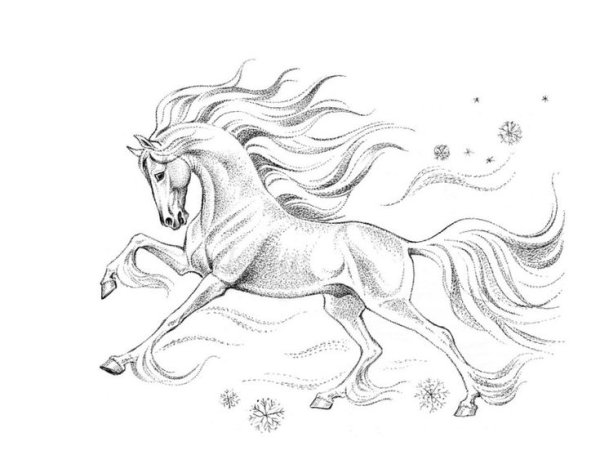 Волшебные рисунки карандашом