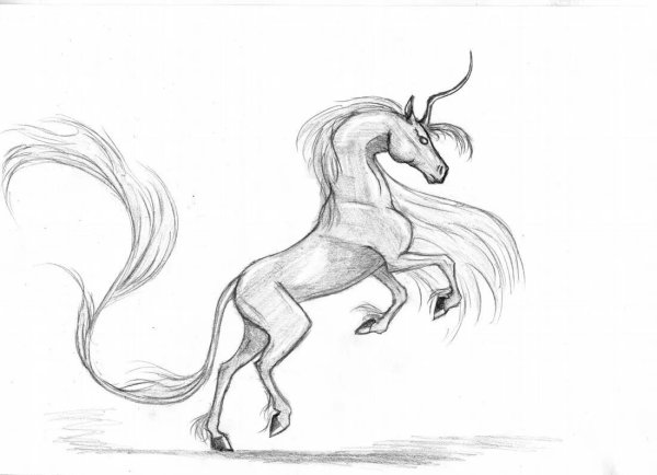 Единорог рисунок карандашом