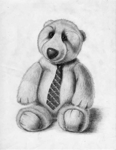 Мишка рисунок карандашом