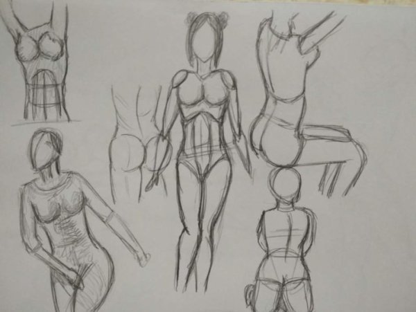 Талия рисунок