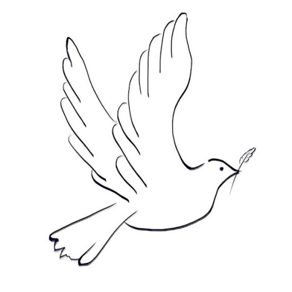Как нарисовать голубя
