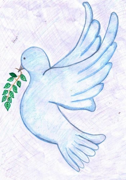 Голубь карандашом