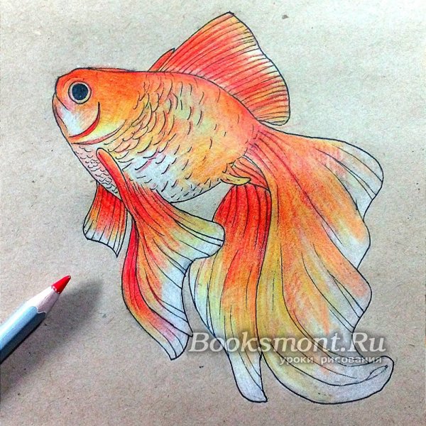 Золотая рыбка карандашом