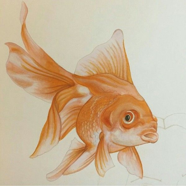 Лёгкие рисунки рыбок