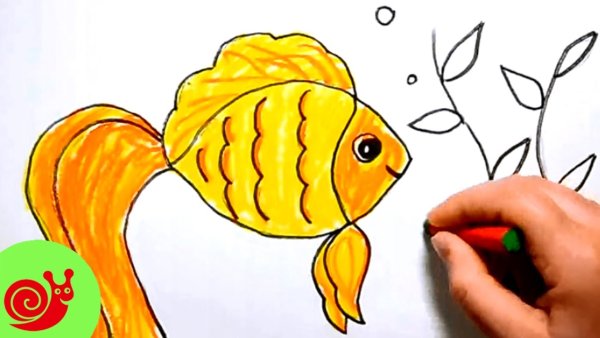 Поэтапное рисование рыбки для детей