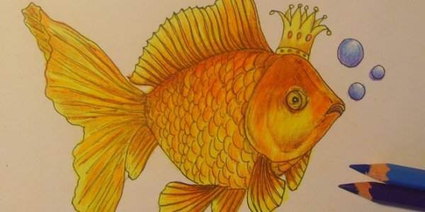 Золотая рыбка рисунок карандашом