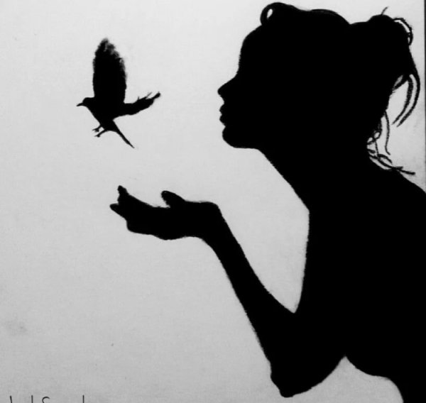 Силуэт девушки с цветами