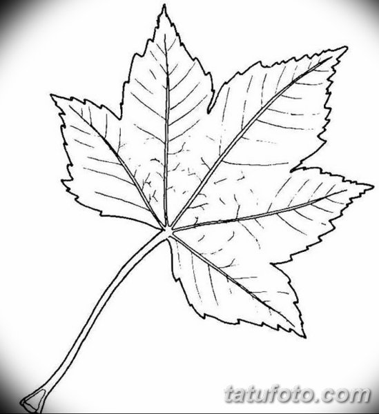 Листья карандашом