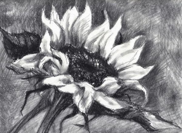 Живопись углем