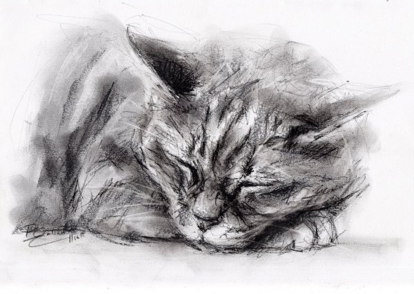 Рисунки углем