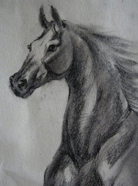 Рисование углем для начинающих