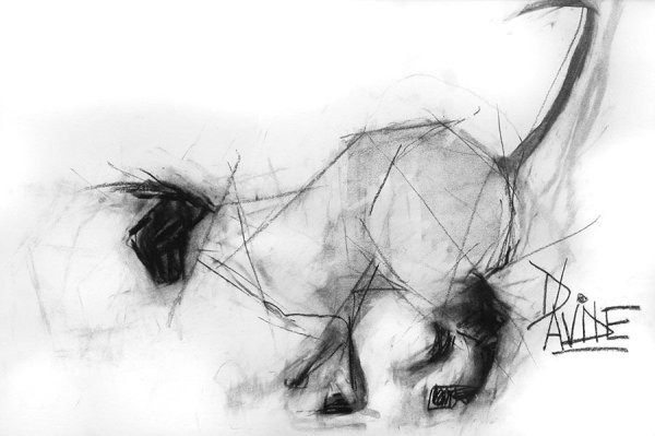 Рисунок кошки углем