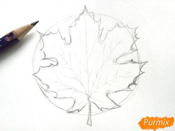 Лист клёна рисунок