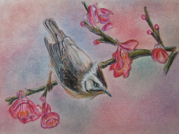 Рисунки акварелью