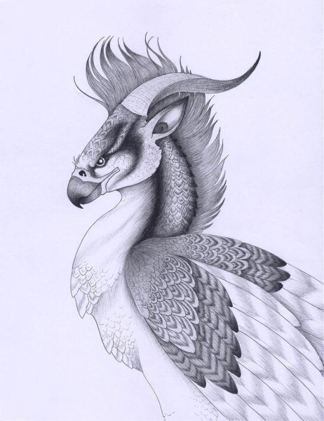 Фантастические животные карандашом