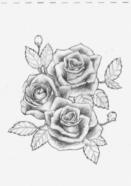 Маленькие розы карандашом букет